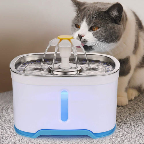 Water Fountains